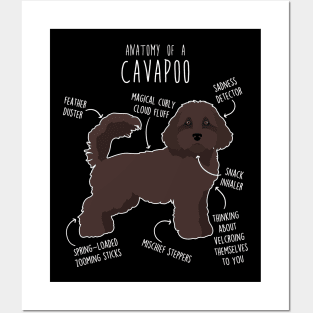 Chocolate Cavapoo Dog Anatomy Posters and Art